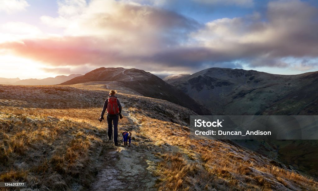 A hiker and their dog walking towards the mountain summit of High Spy from Maiden Moor at sunrise A hiker and their dog walking towards the mountain summit of High Spy from Maiden Moor at sunrise on the Derwent Fells in the Lake District, UK. Hiking Stock Photo