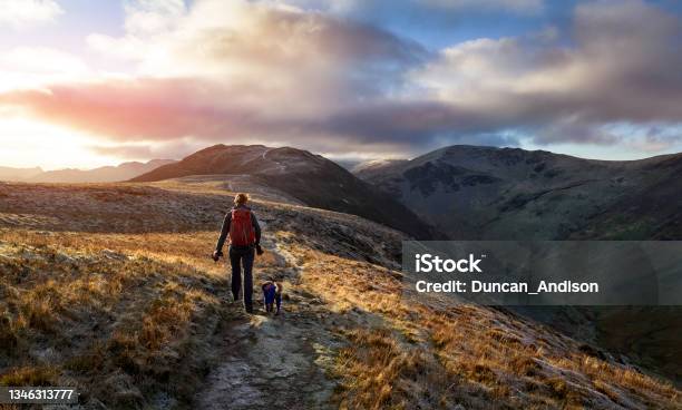 A Hiker And Their Dog Walking Towards The Mountain Summit Of High Spy From Maiden Moor At Sunrise Stock Photo - Download Image Now