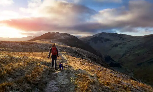 A hiker and their dog walking towards the mountain summit of High Spy from Maiden Moor at sunrise on the Derwent Fells in the Lake District, UK.
