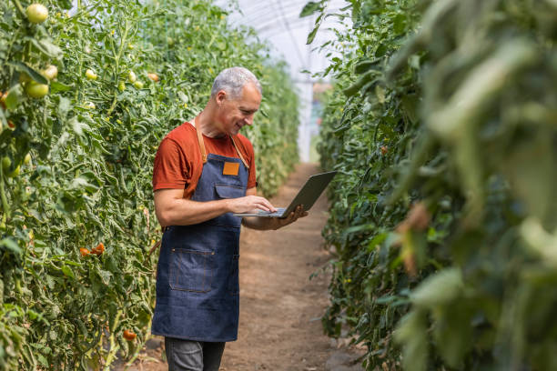 istock Farmer using technology to monitor crops 1346315791
