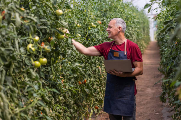 istock Technology is a handy tool for every researcher and scientist 1346315801