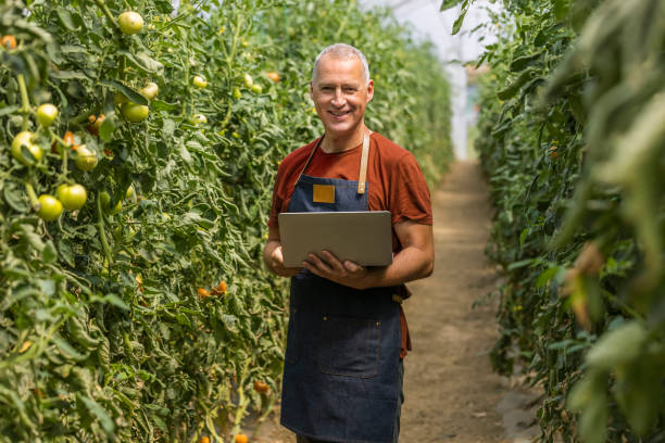 istock Researcher using a laptop computer in a greenhouse 1346315804