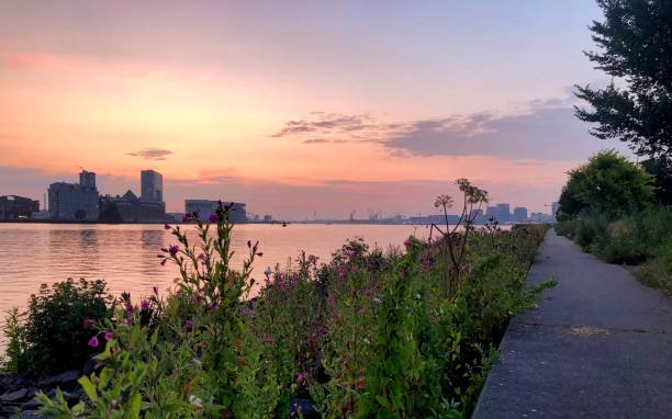istock Beautiful sunset over the canals of amsterdam 1346320815