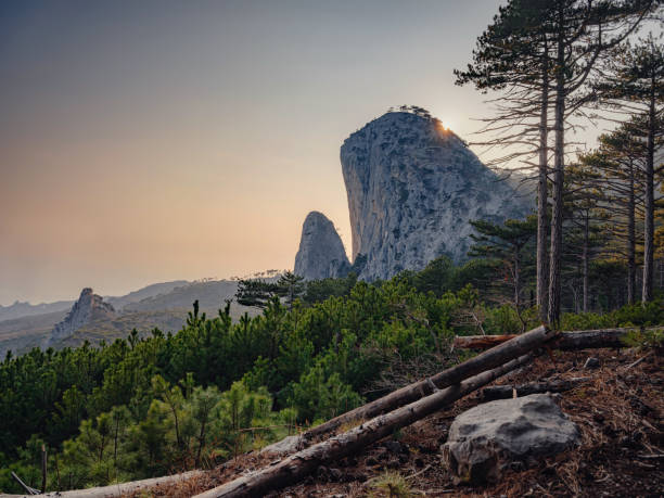 Forest landscape with fir trees and stones over sunset. In summer or fall. Rocky terrain. mountain shaan-kaya