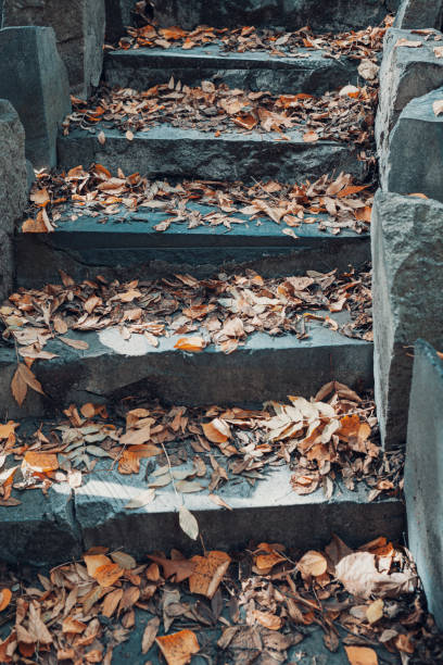 istock Stone ladder with fallen autumn leaves 1346323772