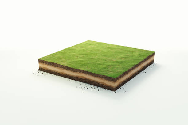 istock 3D cubical beautiful grass land with soil geology cross section, 3D Illustration ground ecology isolated on whit background 1346328196