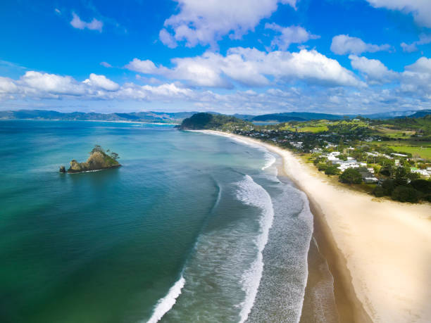 istock Lone Island New Zealand 1346330703