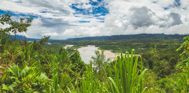 istock Madre de Dios River landscape and Amazon rainforest, Peru 1346332428