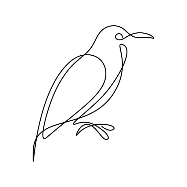 Bird Abstract bird in continuous line art drawing style. Minimalist black linear design isolated on white background. Vector illustration continuous line drawing bird stock illustrations