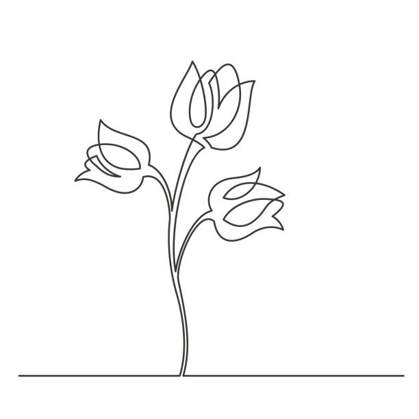 flower one line too Continuous line drawing of flower. Vector illustration too thin stock illustrations