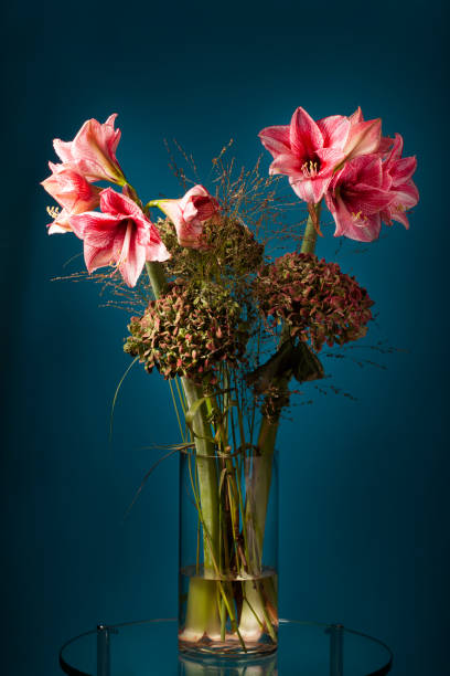 istock Flowers with Amaryllis in a glass vase 1346334249