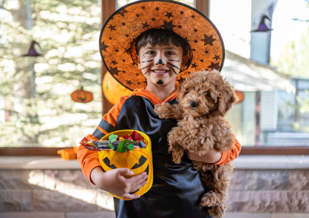 Trick Or Treat Cute Child In Costume With His Dog Holding Bowl Full Of Candies On Halloween At The Front Door dog in halloween hat of witch stock pictures, royalty-free photos & images