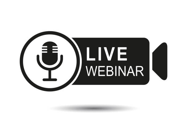 Webinar, live training and video online logo Icons. Webinar, live training and video online logo Icons. Vector flat conference speaker of the house stock illustrations