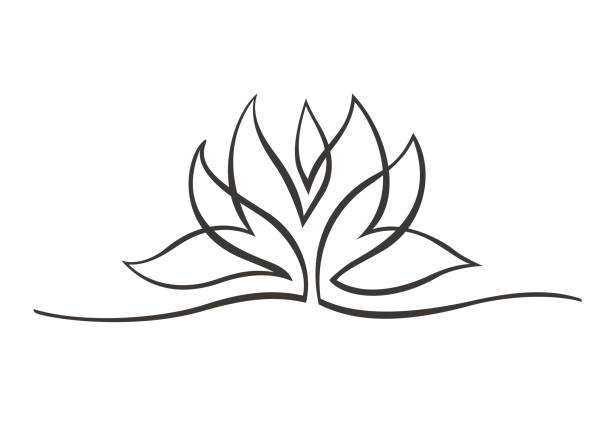 illustrations, cliparts, dessins animés et icônes de lotus une ligne 2 - water lily single flower flower water