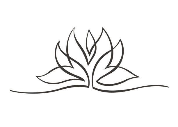 lotus one line 2 Continuous line drawing of lotus flower. Single line drawing of beautiful water lily for floral design or logo. Vector illustration lotus flower drawing stock illustrations