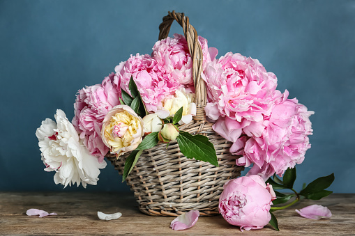 Beautiful peonies in wicker basket on wooden table