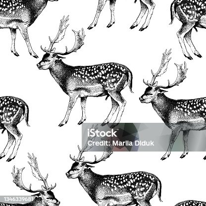istock Seamless pattern. Spotted deer with horns. Cervus nippon. Dappled sika deer. Hand drawn realistic sketch, graphics monochrome vector illustration. 1346339681