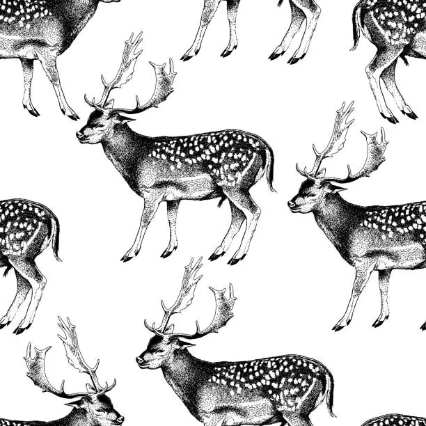 Vector illustration of Seamless pattern. Spotted deer with horns. Cervus nippon. Dappled sika deer. Hand drawn realistic sketch, graphics monochrome vector illustration.