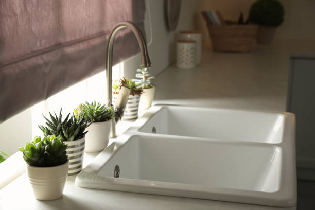 istock Houseplants near sink in kitchen. Interior design 1346340323