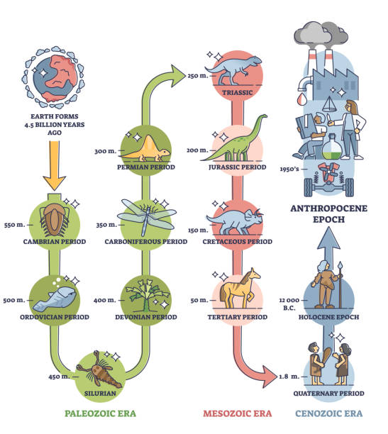 Anthropocene epoch as human era in global geological timeline outline diagram Anthropocene epoch as human era in global geological timeline scale outline diagram. Labeled educational earth time period scheme with climate impact and influence from people vector illustration. time period stock illustrations