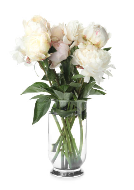 istock Beautiful peonies in vase isolated on white 1346340562