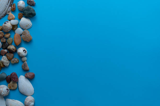 istock Flat lay composition sea pebbles and seashells on a blue background. space for text 1346340610