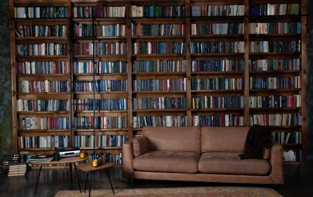 Bookshelves in the library. Large bookcase with lots of books. Sofa in the room for reading books. Library or shop with bookcases. Cozy book background. Bookish bookstore bookshop stock photo