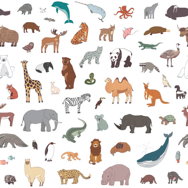 świat zwierząt wildlife wektor bezszwowy wzór - animal doodle bear kangaroo stock illustrations