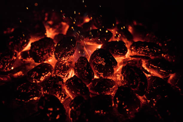 istock Hot grill griquettes, close-up. 1346344933