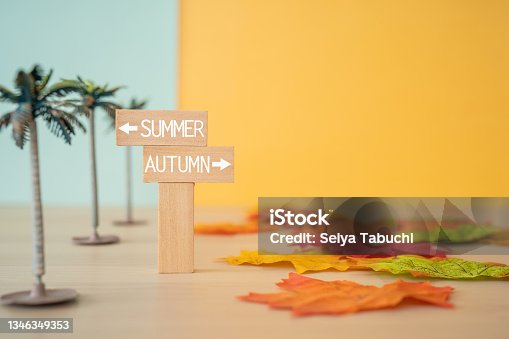 istock From summer season to autumn season. 1346349353