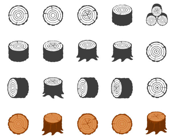 Wood icon set Wood icon set , vector illustration timber framed stock illustrations