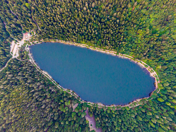 vista aerea del lac des corbeaux circondato dalla foresta, voges, la bresse, lago dei corvi - bresse foto e immagini stock