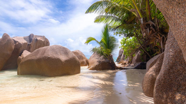 Granite rocks at Anse Source d'Argent beach and palm trees on the Island La Digue in the Seychelles