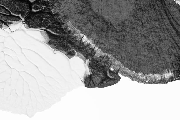 istock black white abstract acrylic painting color texture on white paper background by using rorschach inkblot method 1346354267