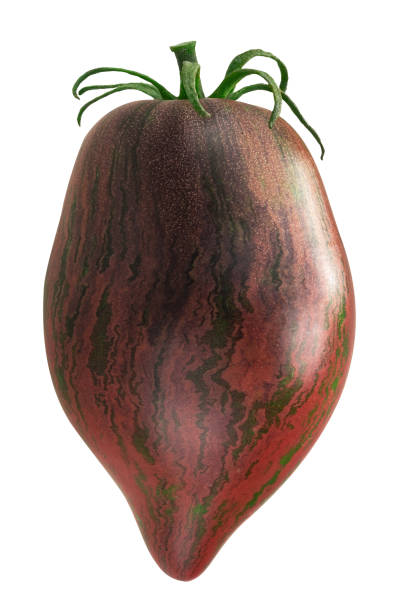 Rebel Starfighter Prime heirloom tomato (Solanum lycopersicum fruit) isolated