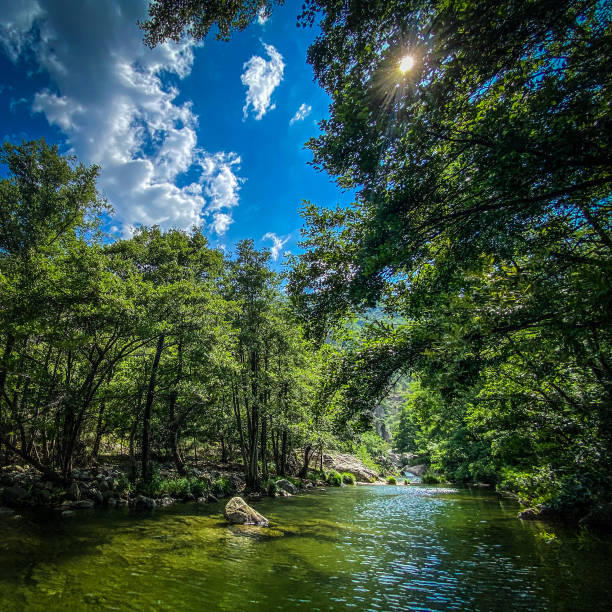 istock River Chassezac, trees and blue sky, during summertime 1346355798
