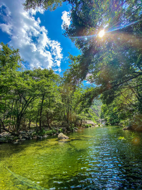 río chassezac, árboles y cielo azul, durante el verano - ardeche fotografías e imágenes de stock