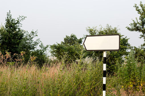 Blank track pointer or directional arrow sign inside of the jungle