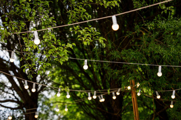 istock Electric incandescent bulbs with warm yellow light. 1346361253
