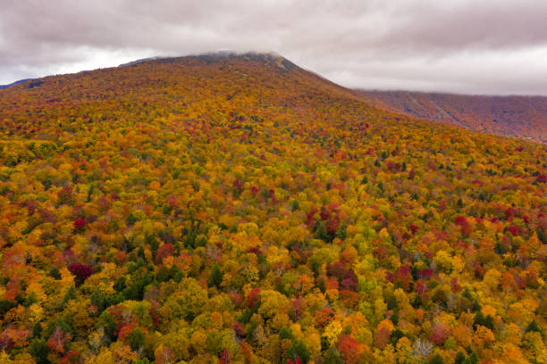 istock Colorful Fall Foliage in Stowe Vermont Northeastern US 1346361318