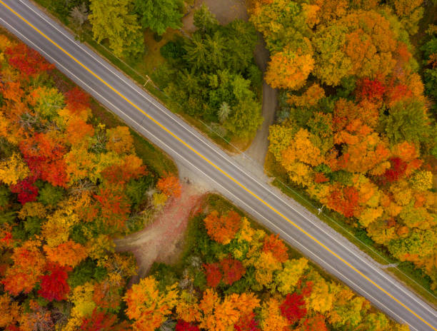 istock Road with Colorful Fall Foliage in Stowe Vermont 1346362473