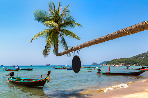 Palm tree over Sairee Beach at Koh Tao island, Thailand