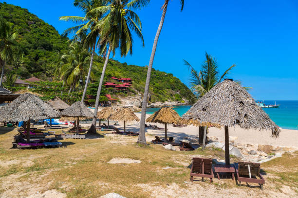 istock Aow luek beach at Koh Tao island 1346365904