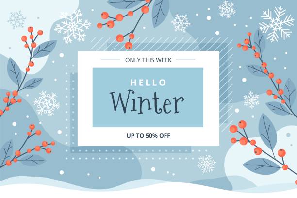 Hello winter sale banner, vector illustration template with snowflakes and ilex branches Hello winter lettering, cute handwritten vector illustration with snowflakes and ilex branches, card design template winter backgrounds stock illustrations