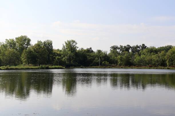 istock Lake in Country 1346366944