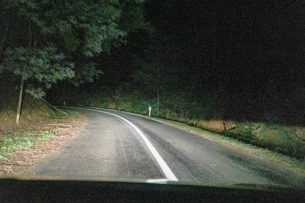 istock Drive through a forest in Australia in the dark. 1346368949