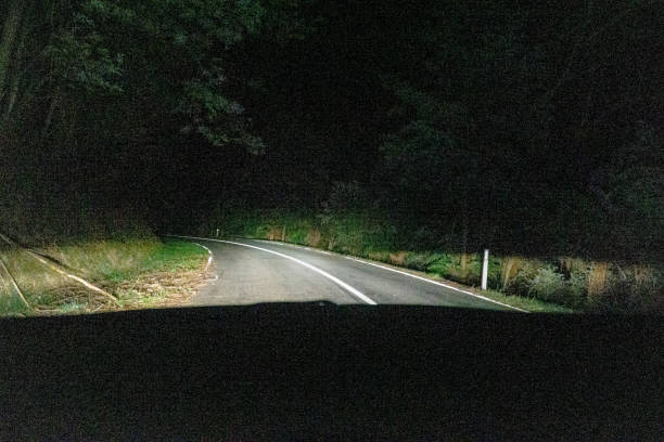 istock Drive through a forest in Australia in the dark. 1346369014