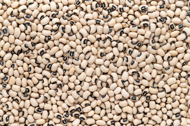 istock Abstract food Black eye peas texture background 1346370083