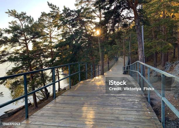 fætter mus eller rotte høflighed Autumn Walk On Path Through Tree Crowns Near Lipno In Sumava Stock Photo -  Download Image Now - iStock