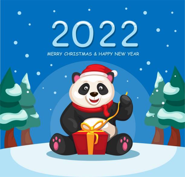 ilustrações, clipart, desenhos animados e ícones de celebração de natal e ano novo de 2022 com panda open gift box ilustração de desenho animado vetor - christmas celebration beautiful surprise